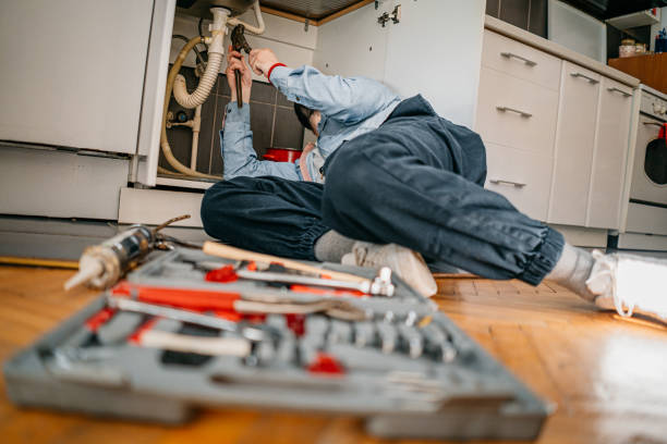 Best Emergency Plumber  in Pleak, TX