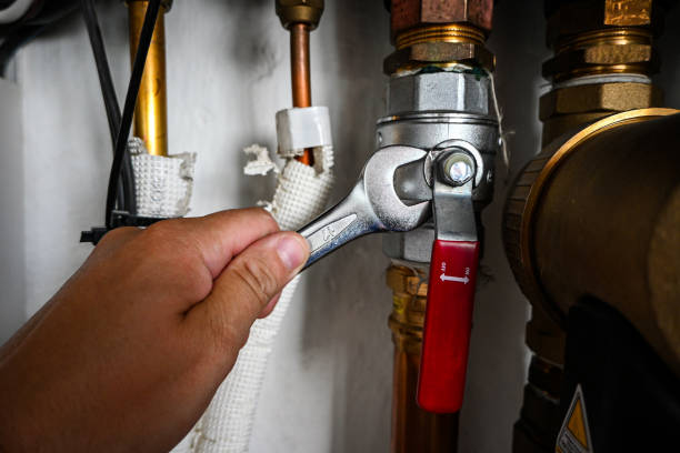 Best Same-Day Plumbing Service  in Pleak, TX